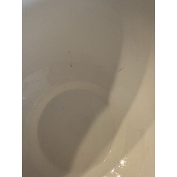 Vintage Blue And White PIER 1 Bowl 10 Inch Designed by Gudari - Picture 3 of 11